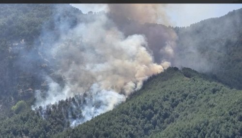 Beş İlde Aynı Anda  Orman Yangını