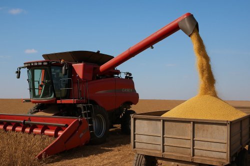 ARJANTİN SOYA İHRACAT VERGİLERİNİ DÜŞÜRDÜ