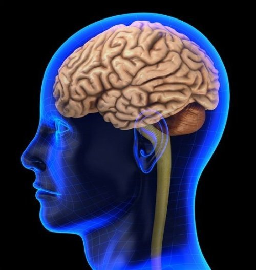 Alzheimer'ın Kaynağına Dair Çığır Açan Keşif: Hastalık Beyin Sınırlarında Başlıyor Olabilir!