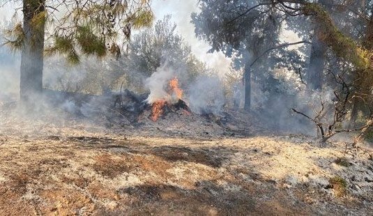 Osmaniye'de Arazöz Kazası: İki Can Kaybı!