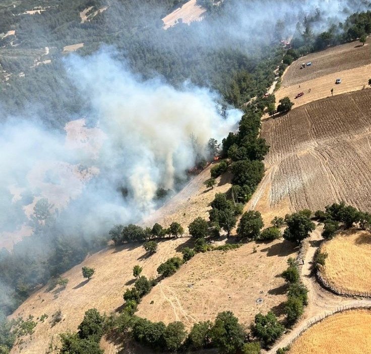 Balıkesir'de Otluk ve Makilik Alanda Çıkan Yangın, Ekiplerin Hızlı Müdahalesiyle Kontrol Altına Alındı